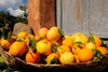 Antonio Meloni FOTOGRAFIA - FRUTTA della Sardegna