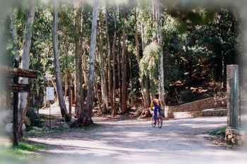 trekking in mountain bike