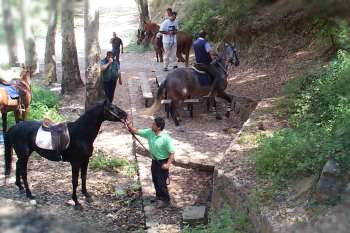 Trekking a cavallo a Montimannu